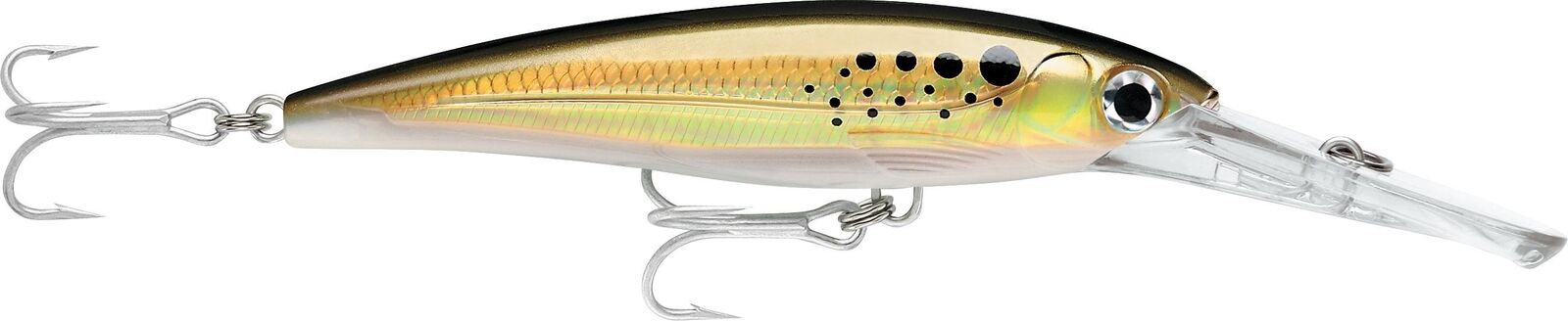 Rapala X-Rap Magnum 40 3.325 oz 7'' Fishing Lure - Picture 7 of 25