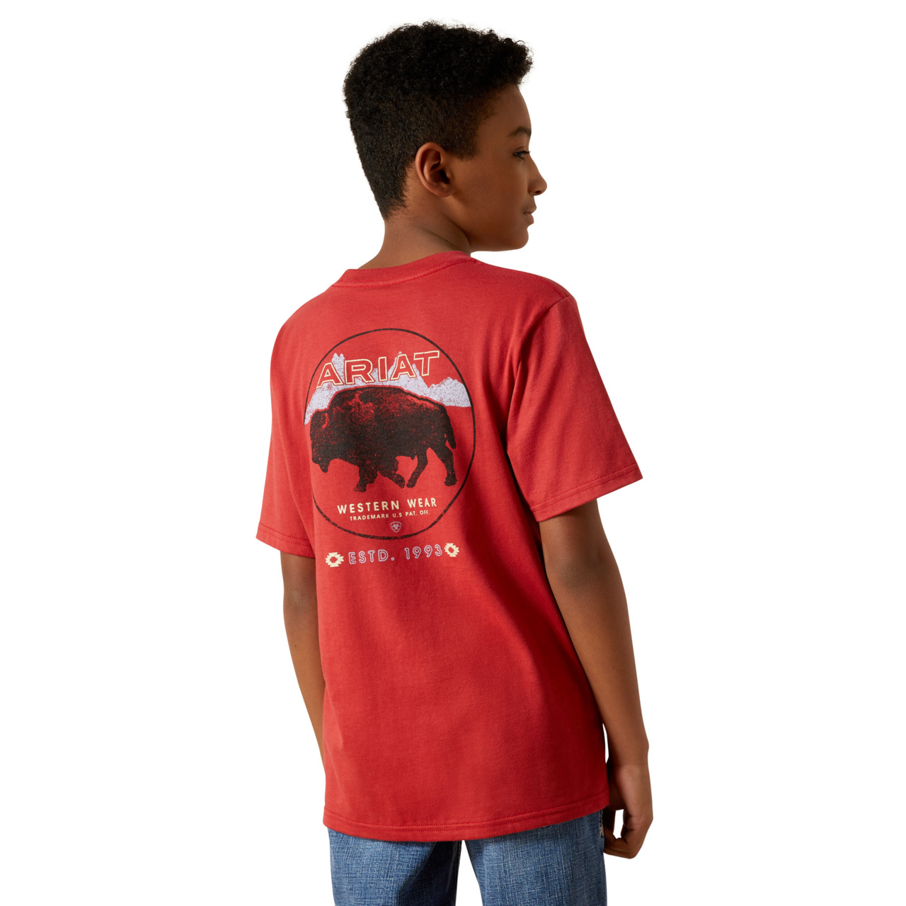 Ariat Youth Boy's Patriot Buffalo Coin Brick Red T-Shirt 10062407 - Picture 8 of 24
