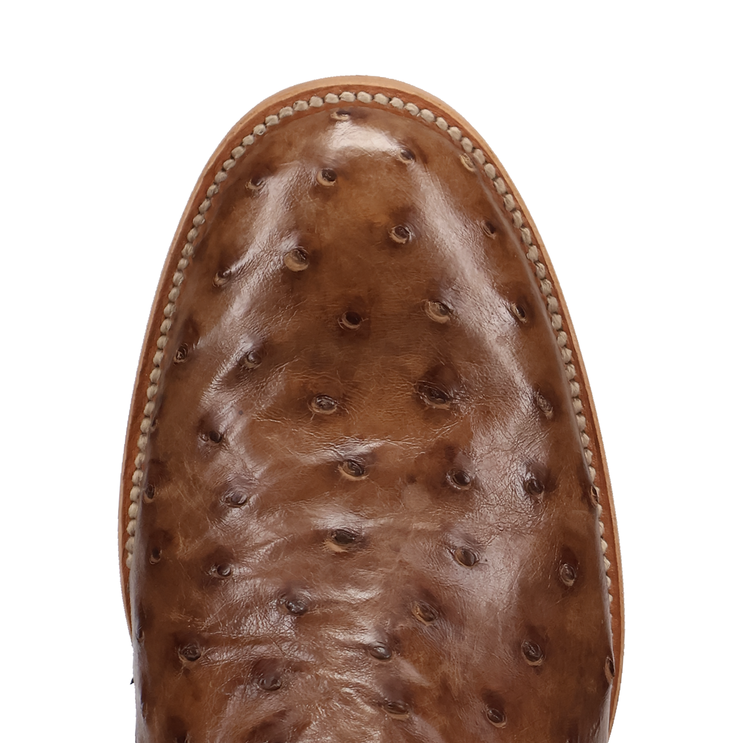 Dan Post Men's Ardor Tobaco Brown Full Quill Ostrich Western Boot Dan Post Men's Ardor Tobaco Brown Full Quill Ostrich Western Boot