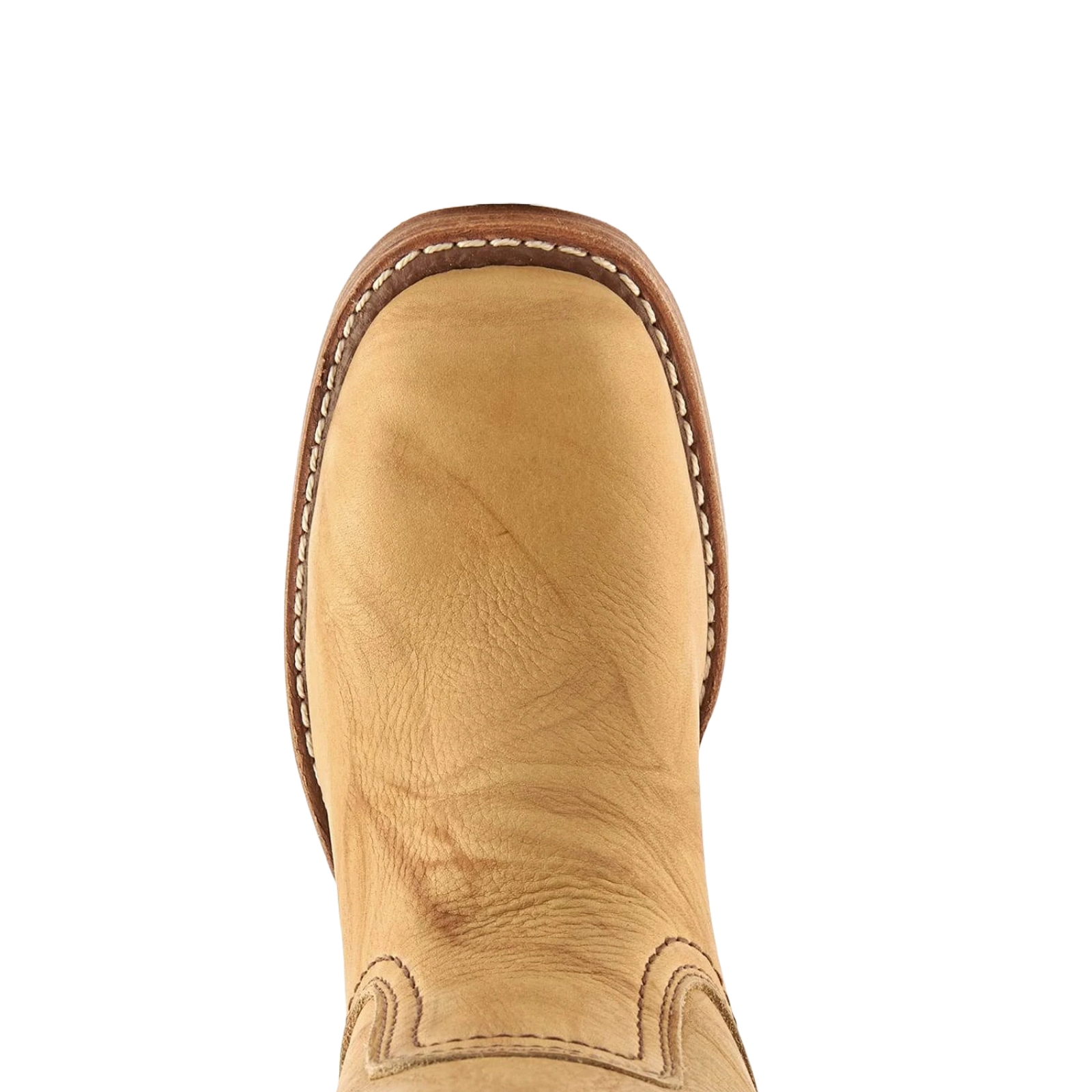 Frye Ladies Campus 14L Banana Montana Leather Tall Boots 3477050-BAN - Picture 7 of 75