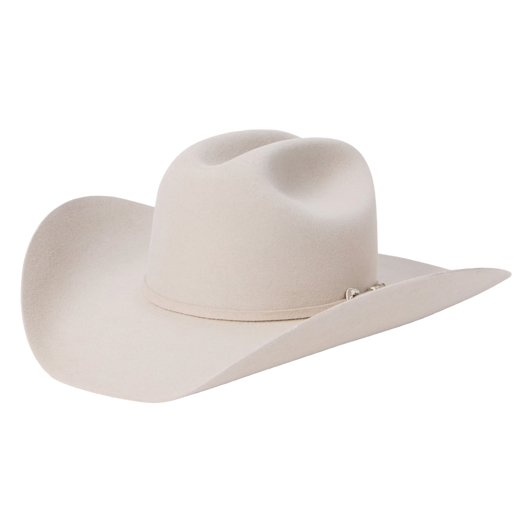 Stetson Skyline 6X USA 250 Edition Silverbelly Felt Western Hat SFS250-754261